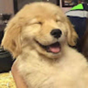 Meet your Posher, Abigail